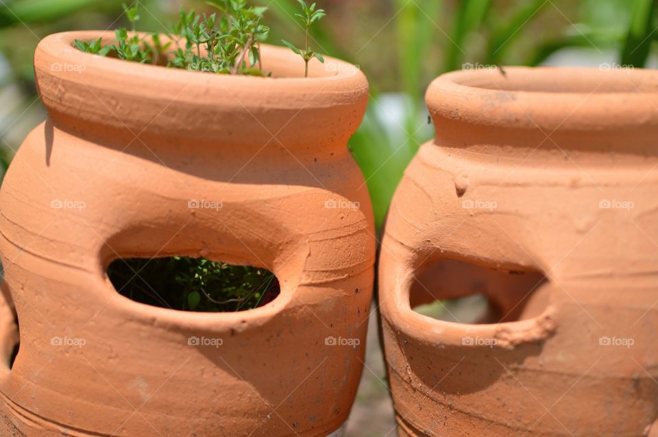 Orange planters clay