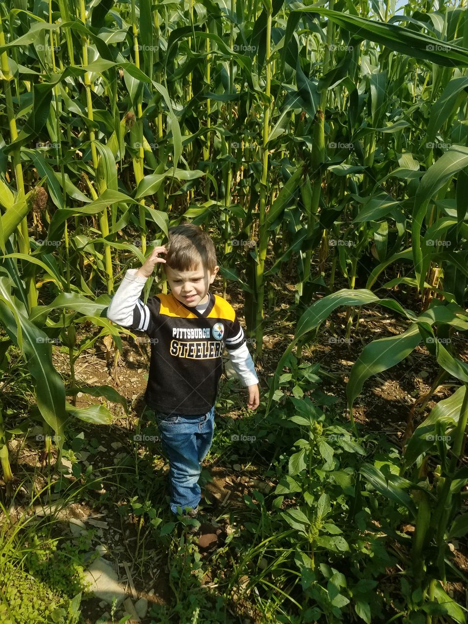 My boy in our corn field