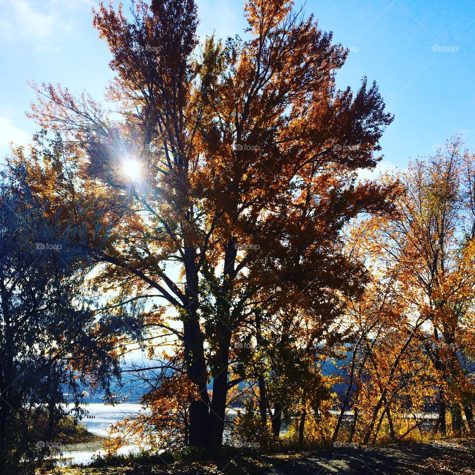 Enjoying the fall colours! 