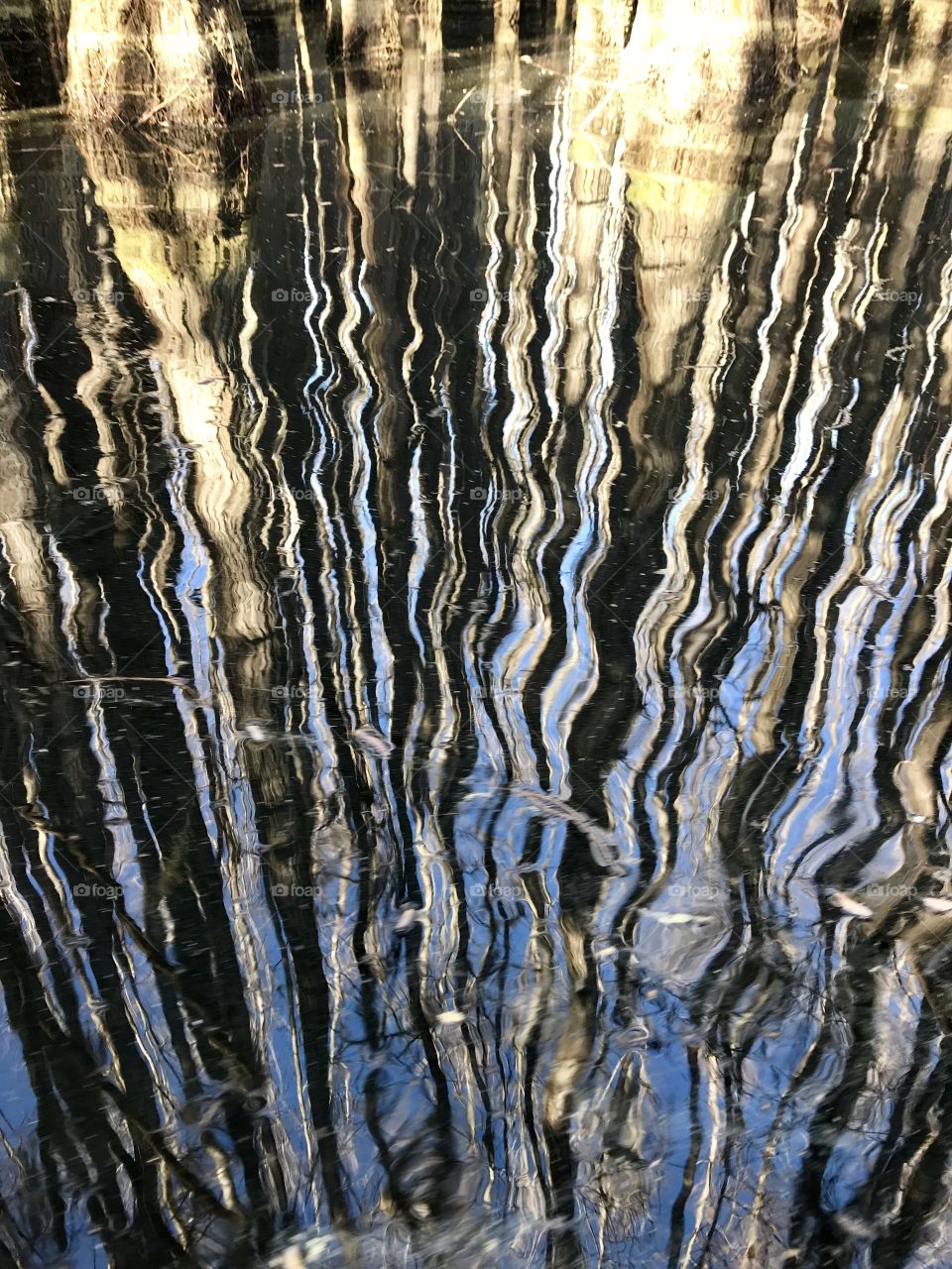 Ripples and reflections seen while paddling in a lake