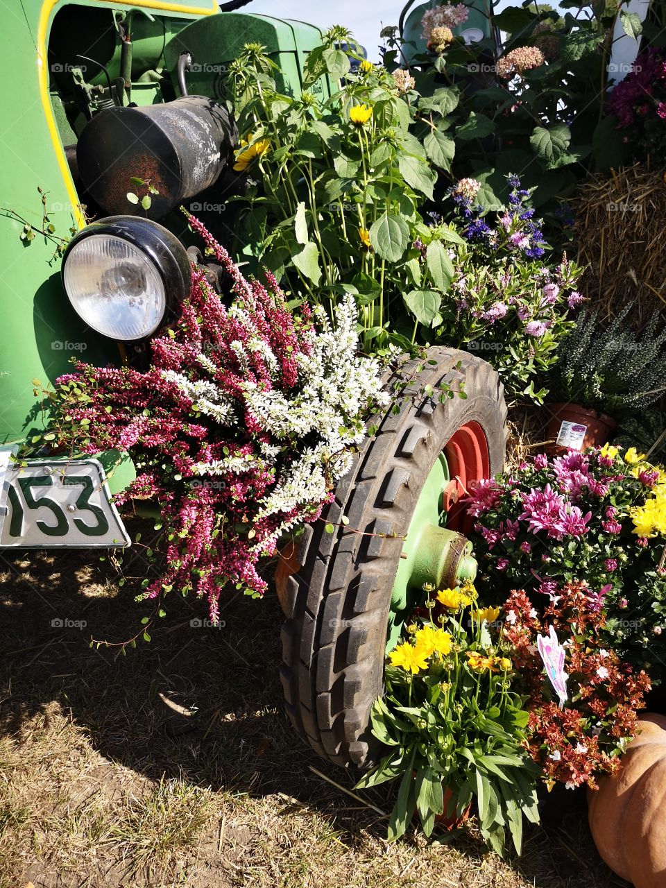 Flowers and tractor
