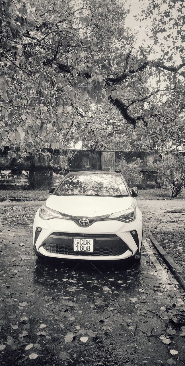black and white photo of a car