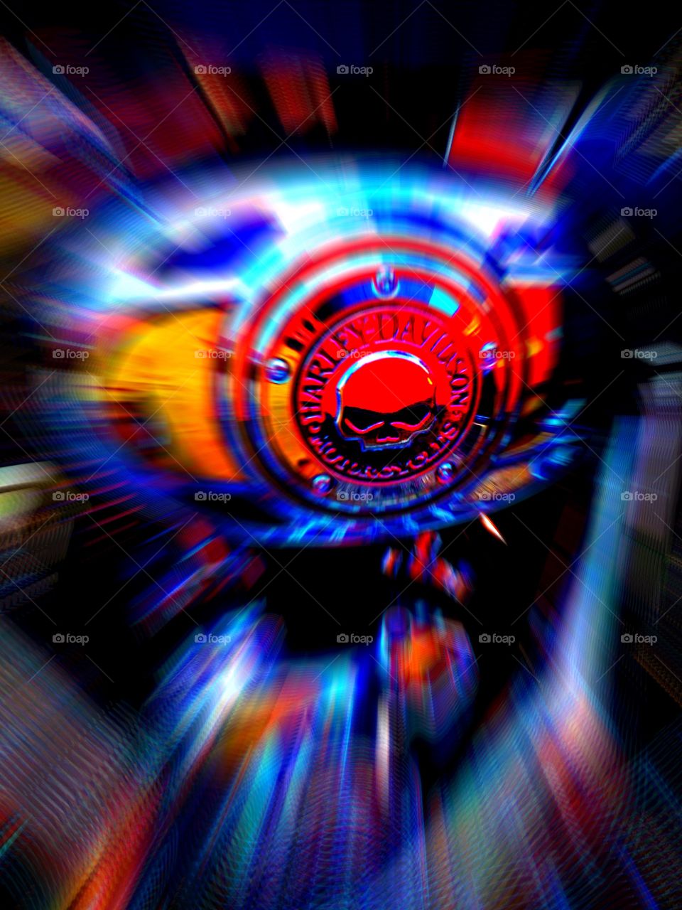 Harley Davidson motorcycle and the wild side