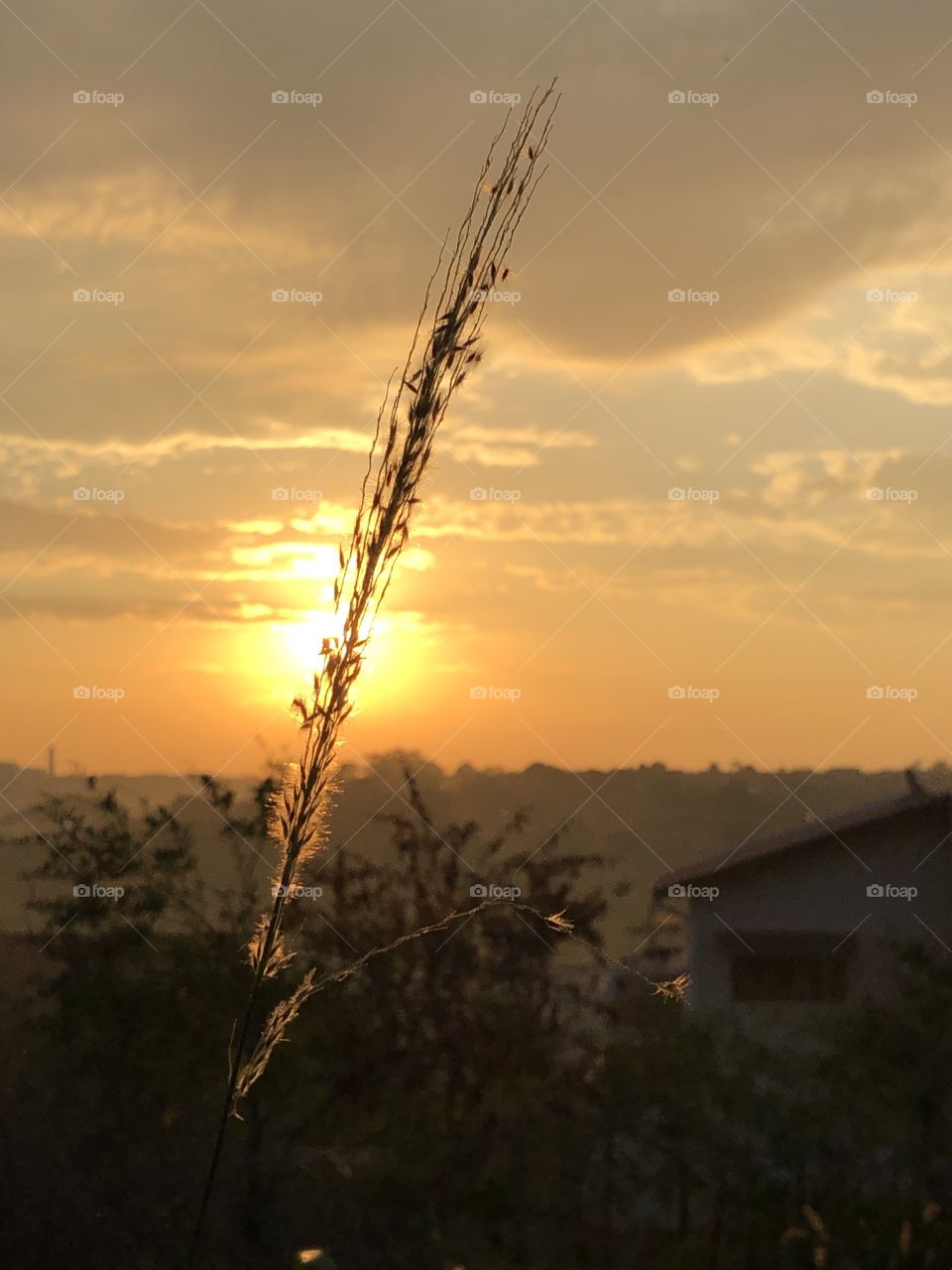 Have you ever imagined waking up in a small house, close to the nature, and being able to watch the sun rising with great colors, in person? Not even the grass would bother you, rather, work in favor to the great picture being created.