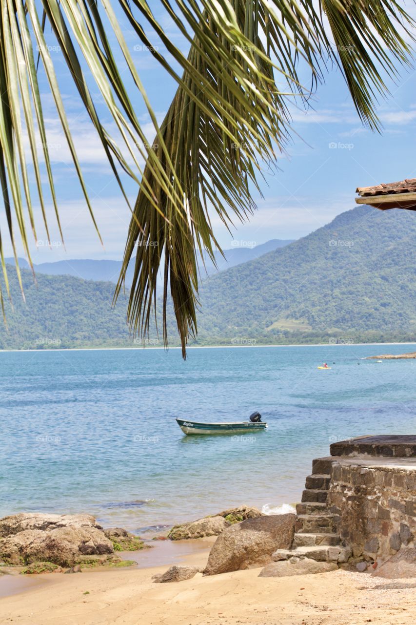 Ilha das Couves - Ubatuba SP Brasil/Brazil