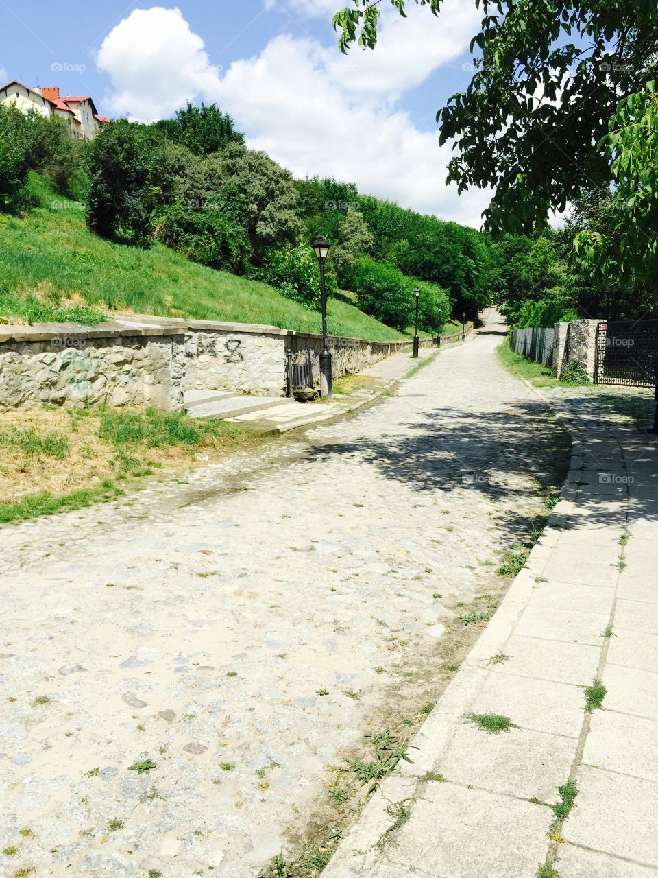 Road, Landscape, Travel, Nature, Guidance