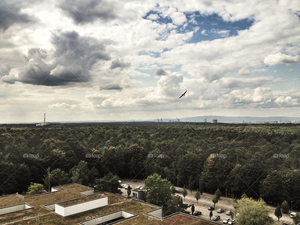 Scenic view of Frankfurt am main