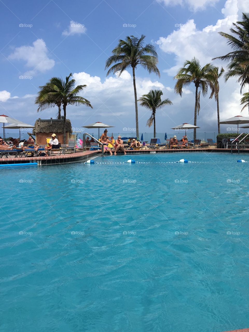 Pool & Palm Trees 🌴, Ocean in Background 