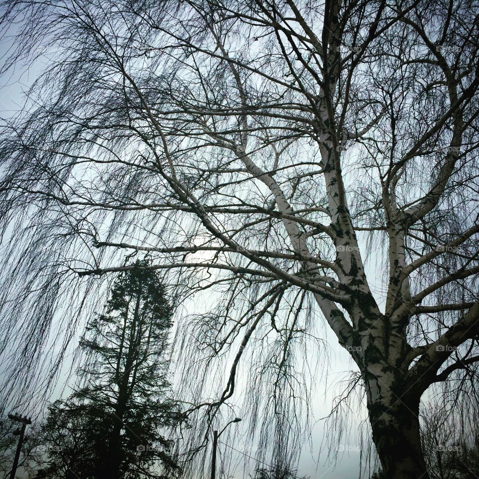 Wakefield, Massachusetts 