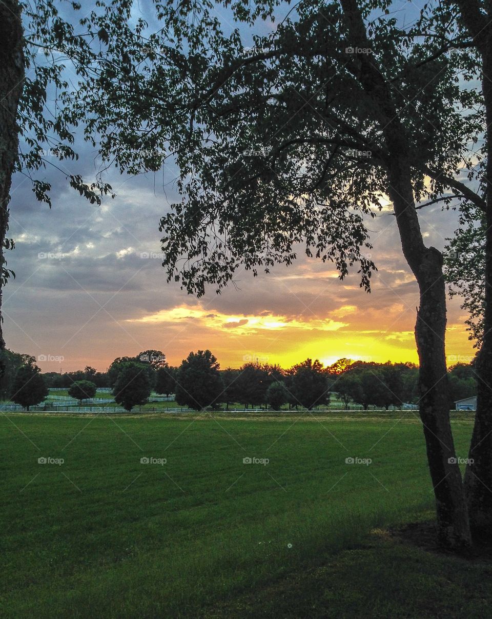 Sunset in the park