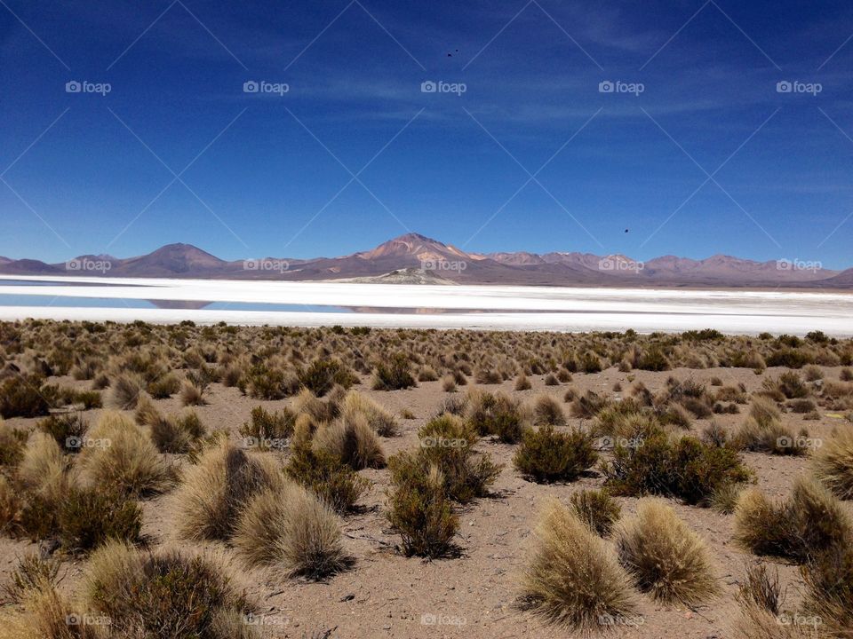 Desert, No Person, Landscape, Travel, Sand