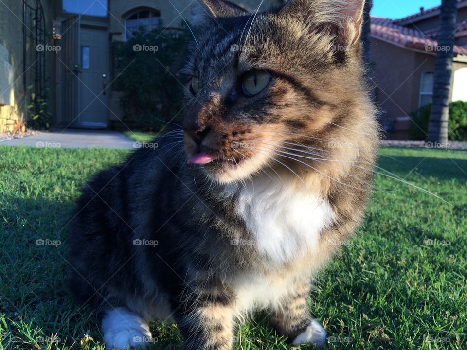 This is how I feel today 