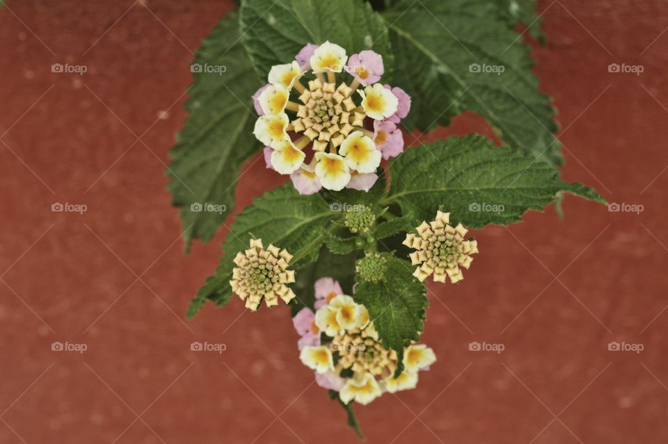 Travel: Zakynthos, Greece