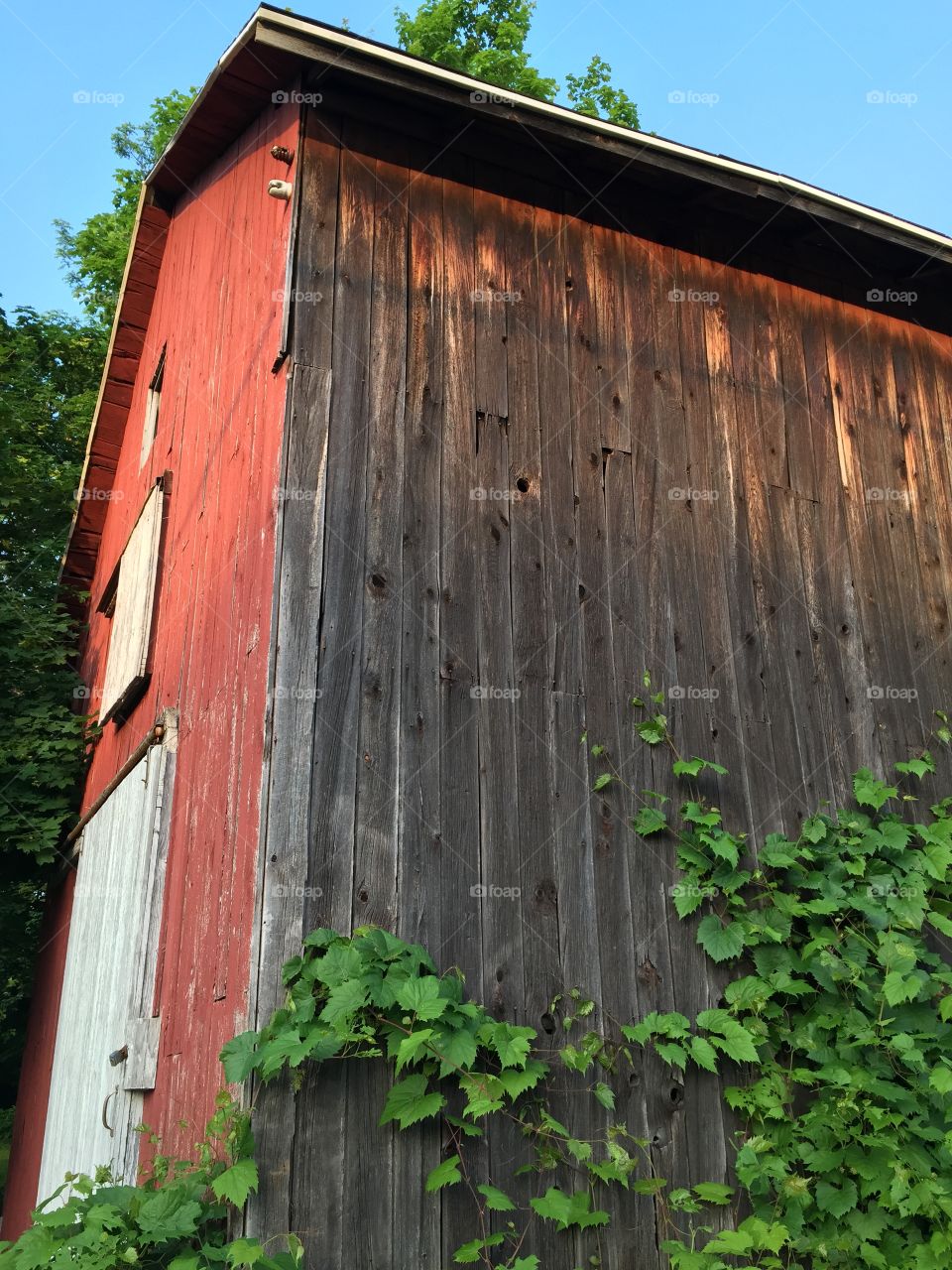 Needs a paint job. Evening light in an old barn