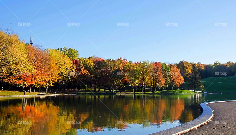 Beautiful season of autumn with colourful trees reflected in the lake 