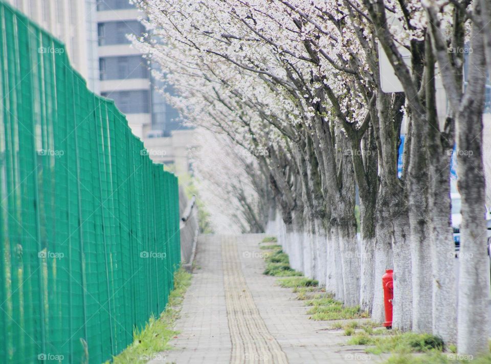 Touch of green and white but don’t forget the little touch of red