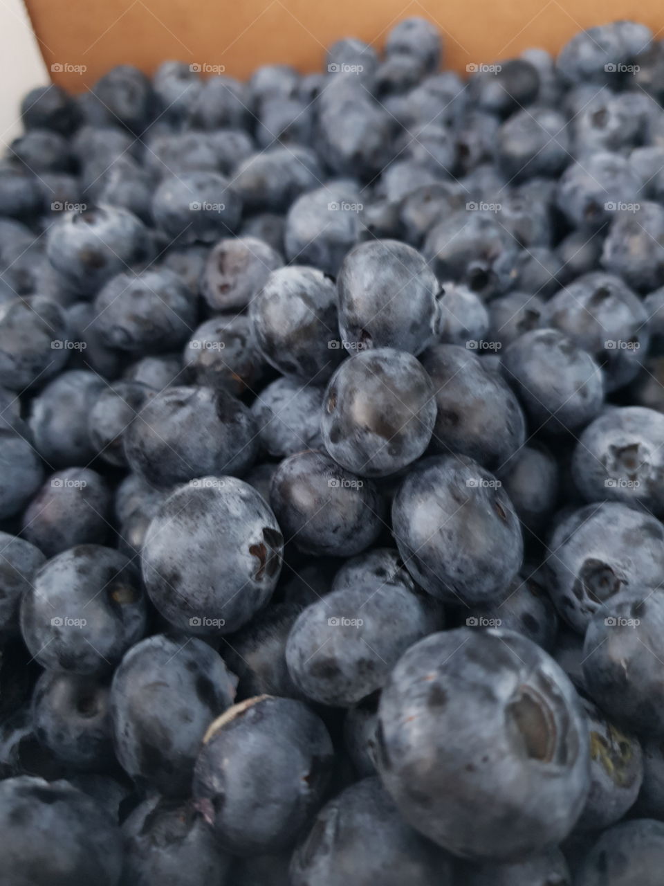 Blueberries galore