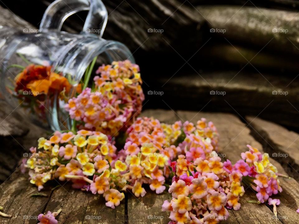 Tiny flowers with a glass