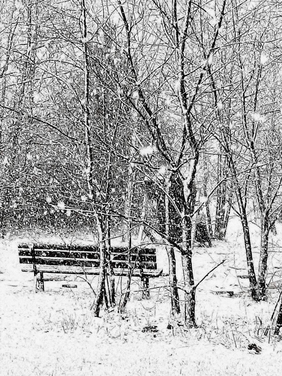 springtime snowstorm wih large snowflakes in the garden