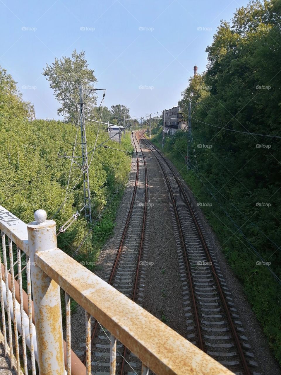 Crisscross applesauce