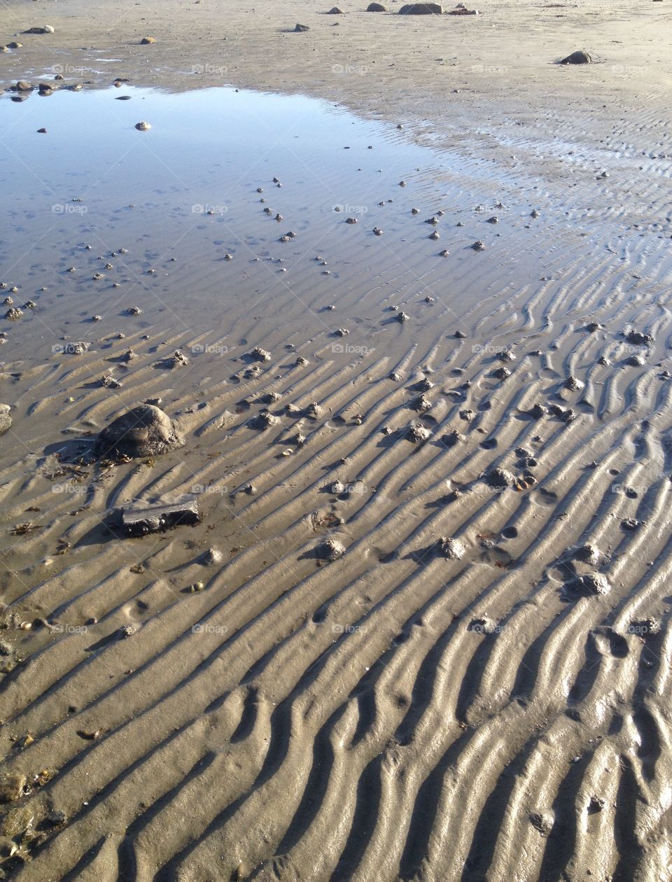 Patterns in the sand