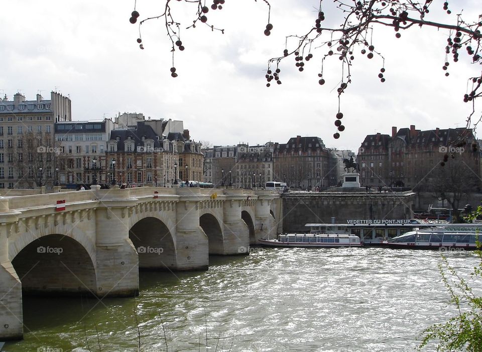 Bridge in Paris/ late March