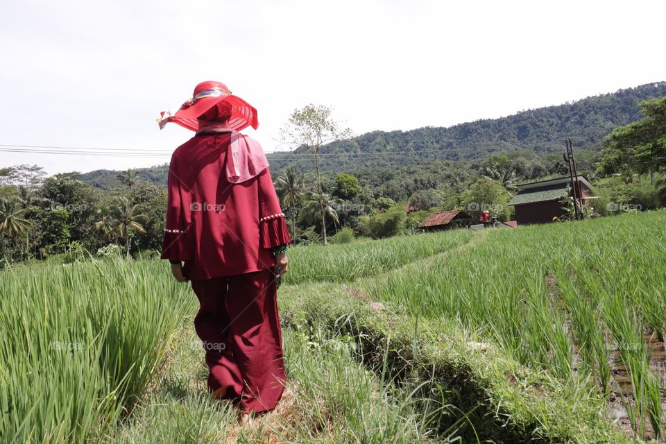 woman walking in the rice field