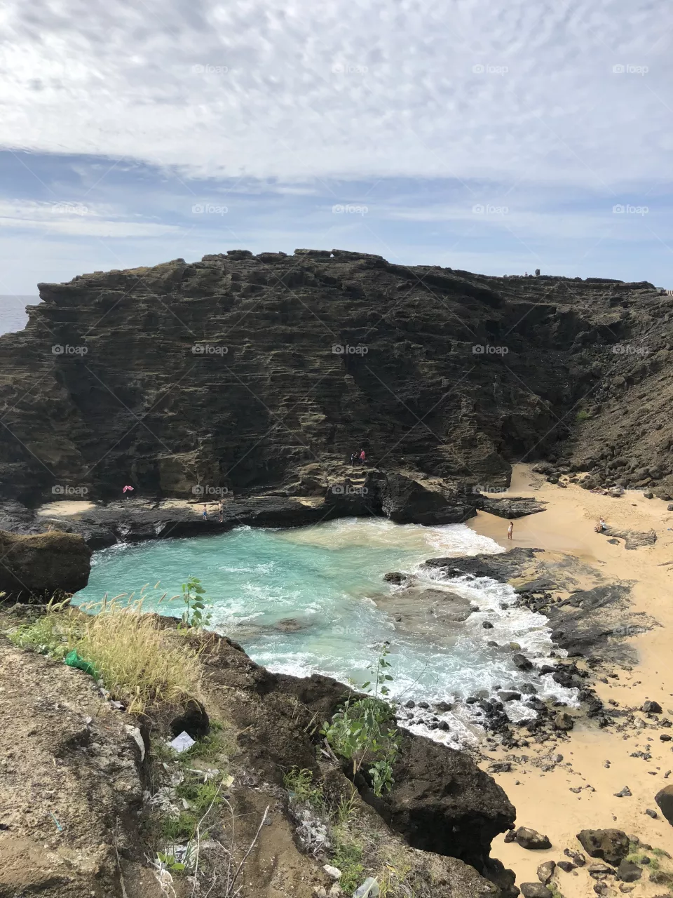 Cove