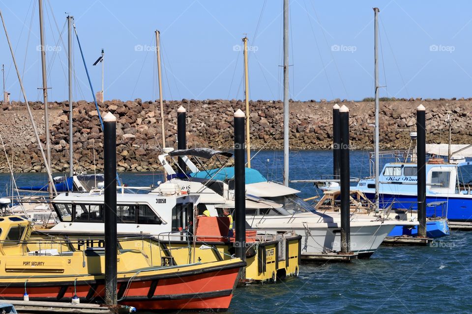 Boats in inner harbour 