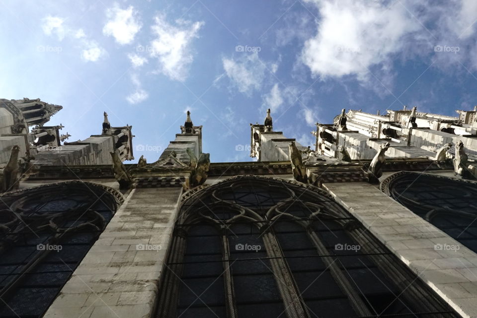 Notre Dame gargoyles 