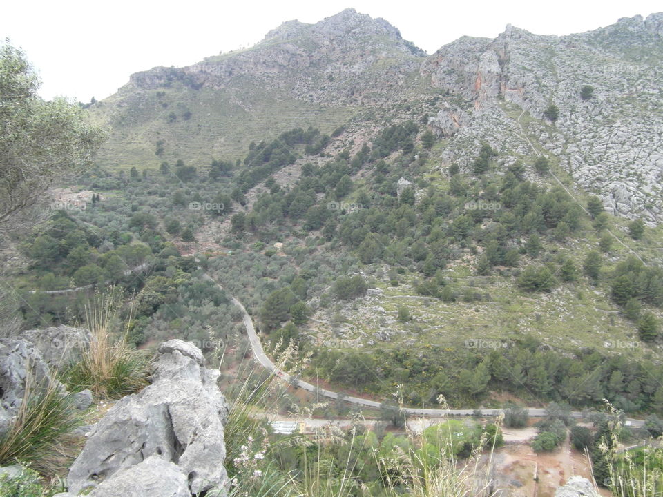 Mallorca Serpentine