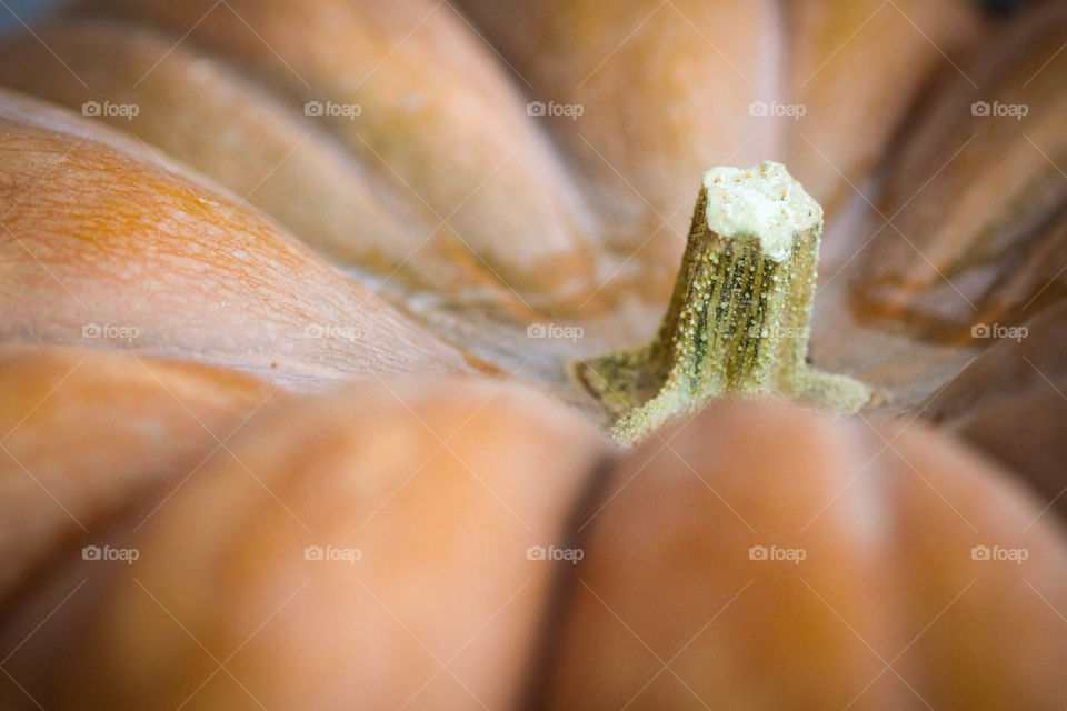 Close up of pumpkin