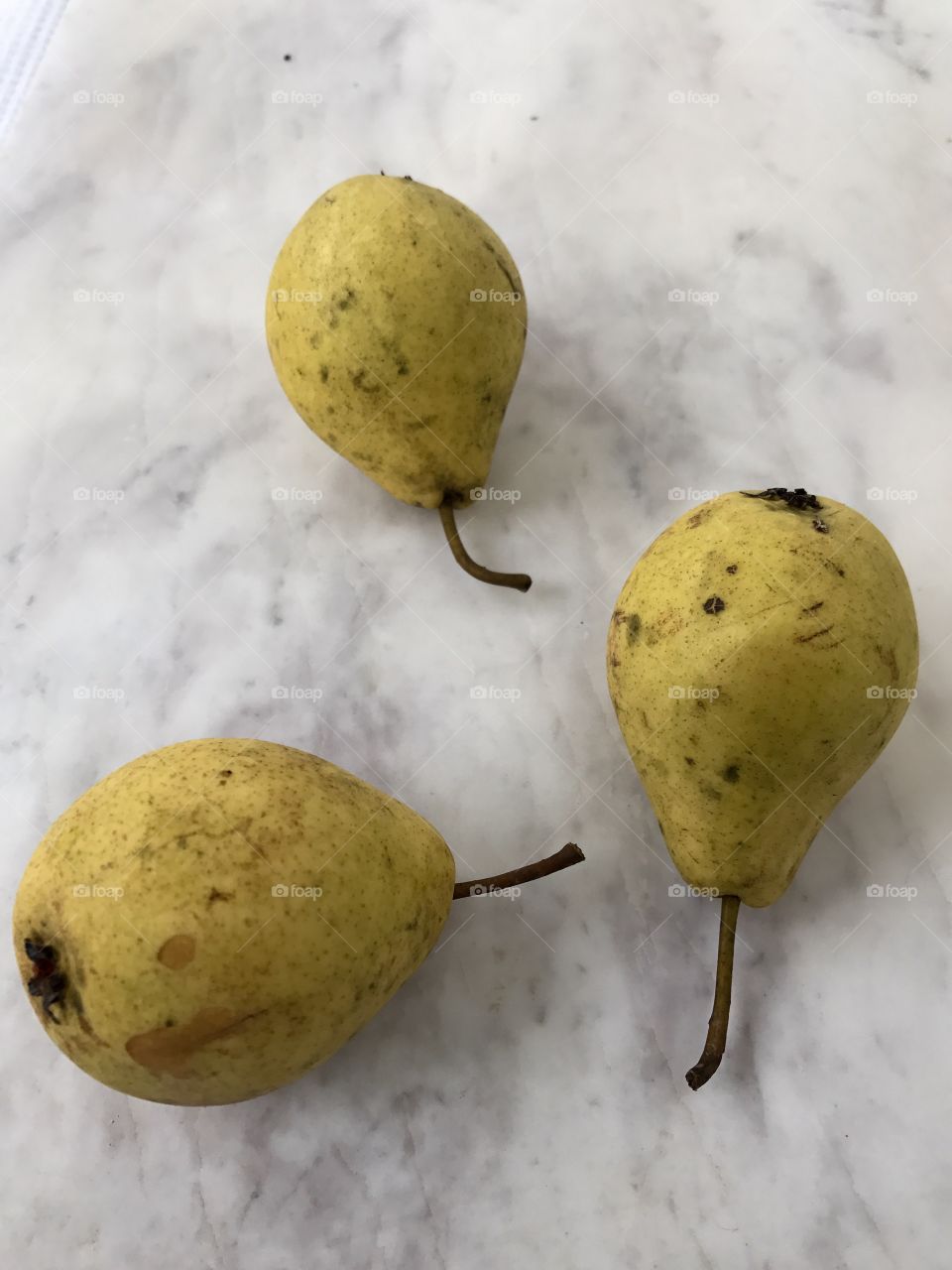 Autumn harvest of pears on marble table.