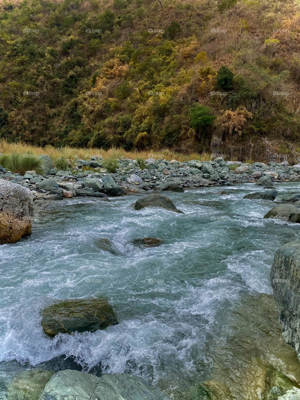 At the nexus of earth's majesty, a river winds its serpentine path through the rugged embrace of towering mountains. The river, a lifelime, cuts through ancient stone with unwavering determination, It's a breathtaking of wilderness.