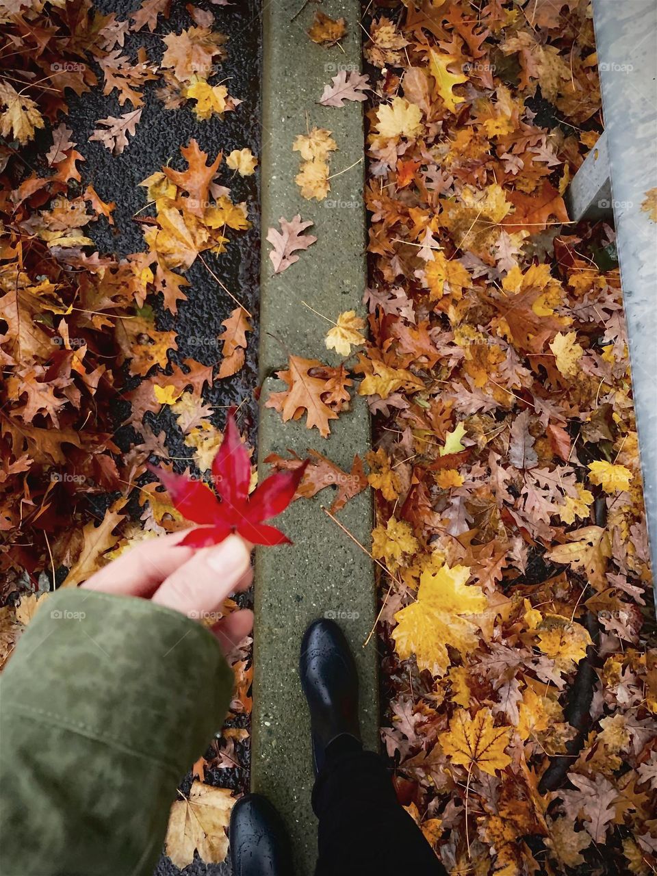 Leaf fall