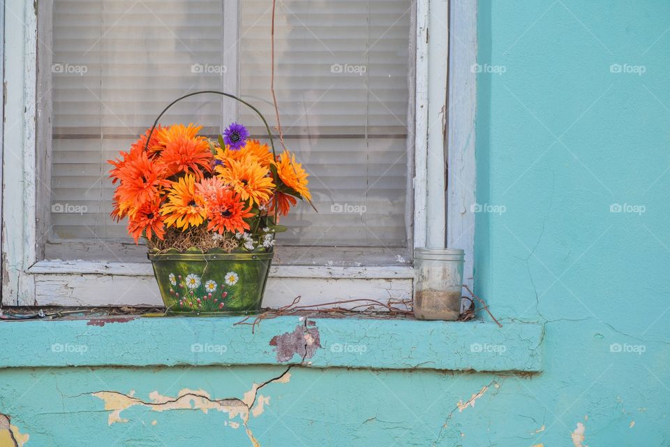 Orange flowers in basket in window in teal wall