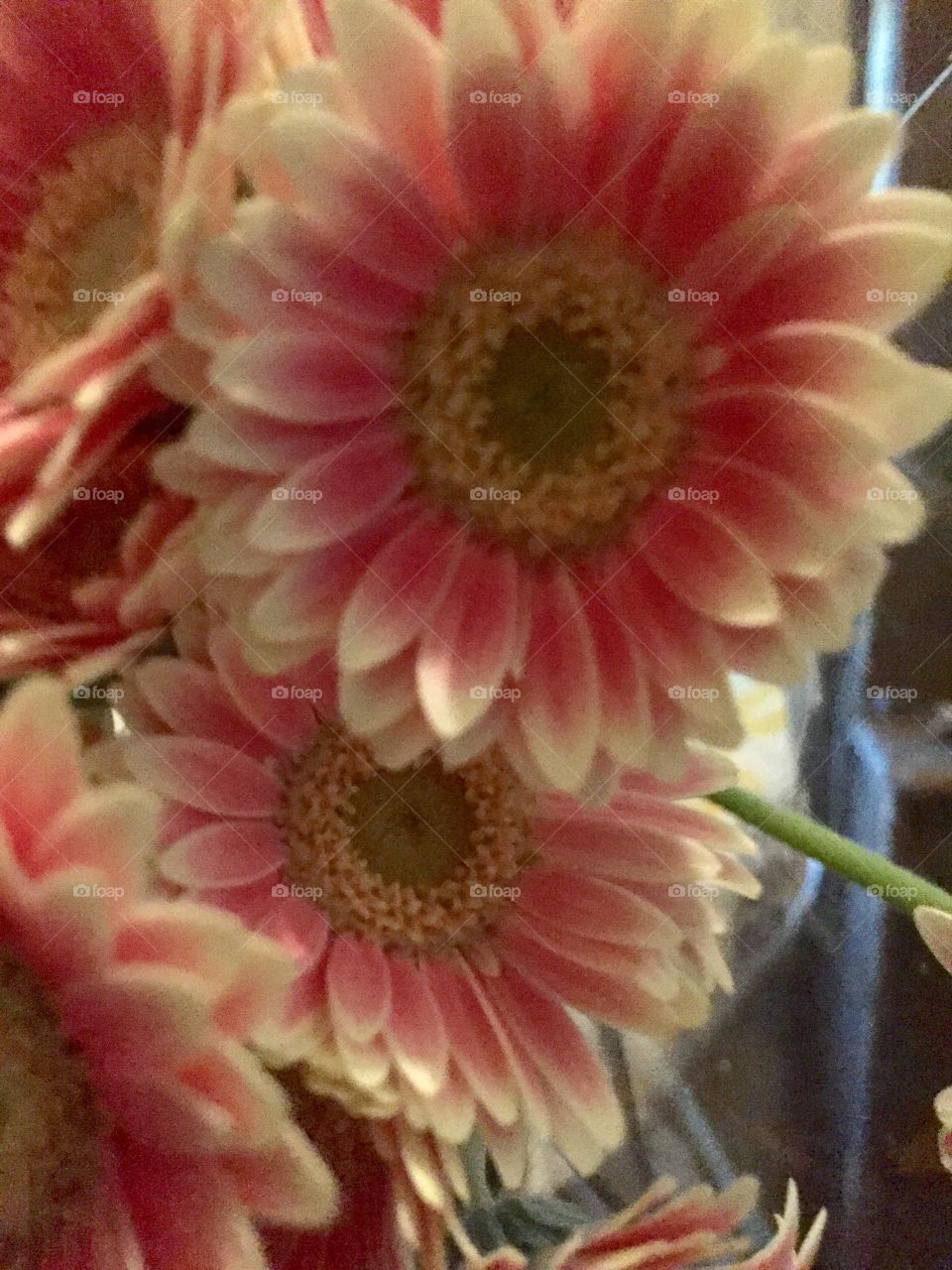Birthday flowers