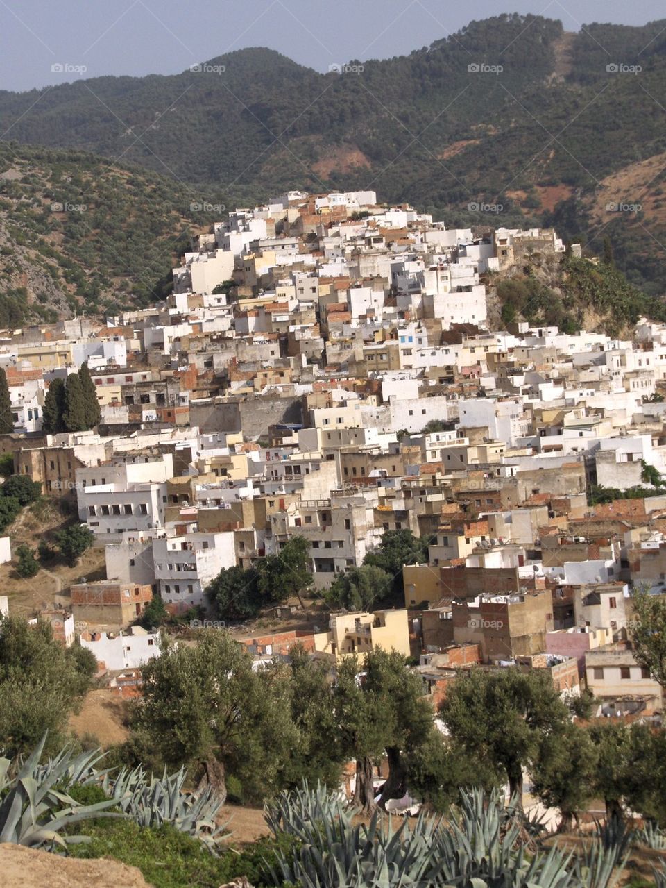 Rural morocco
