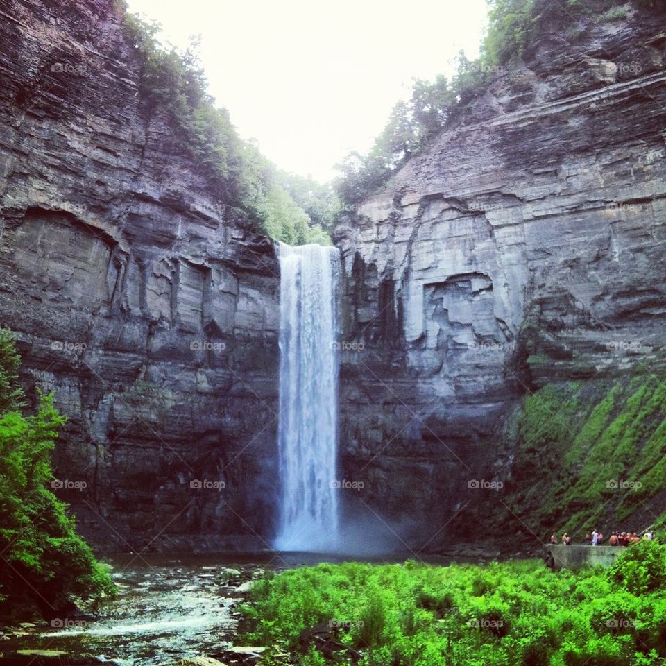 Ithaca, NY