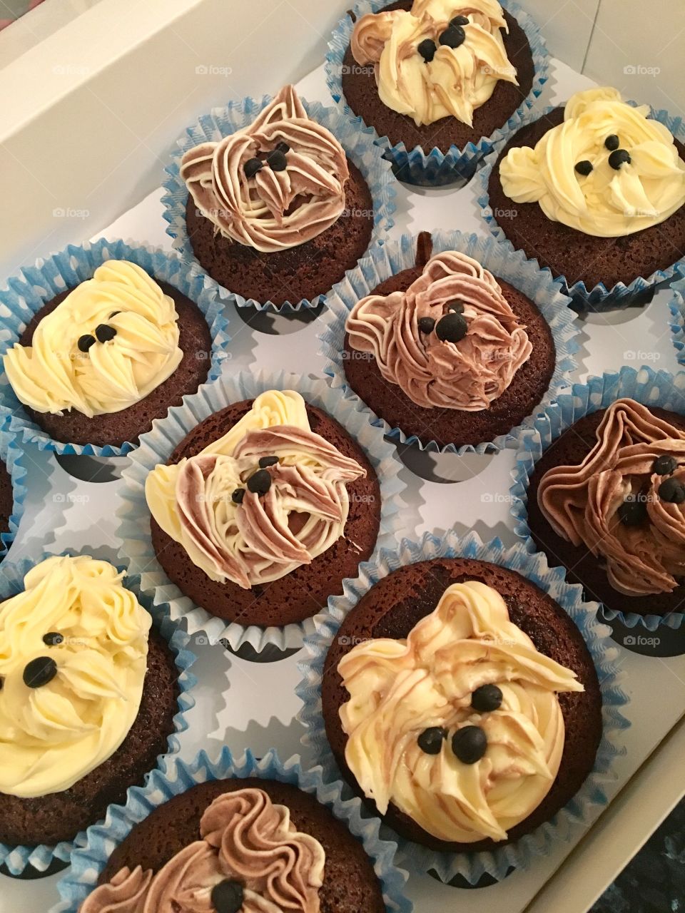 Doggy cupcakes- made by me