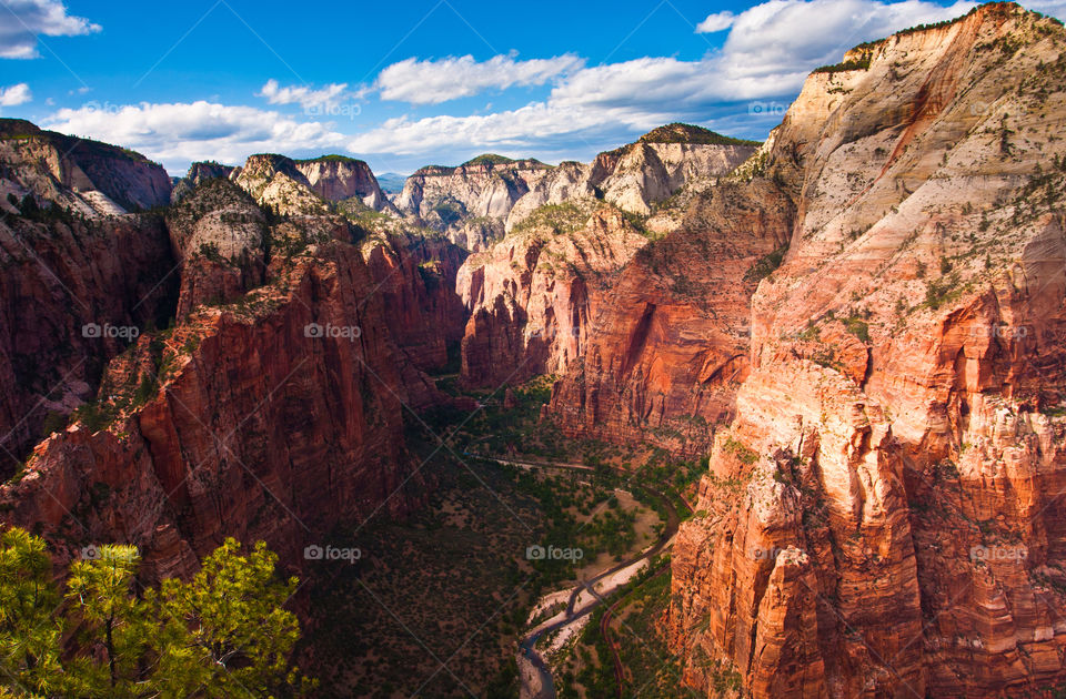 Great view in Zion national park