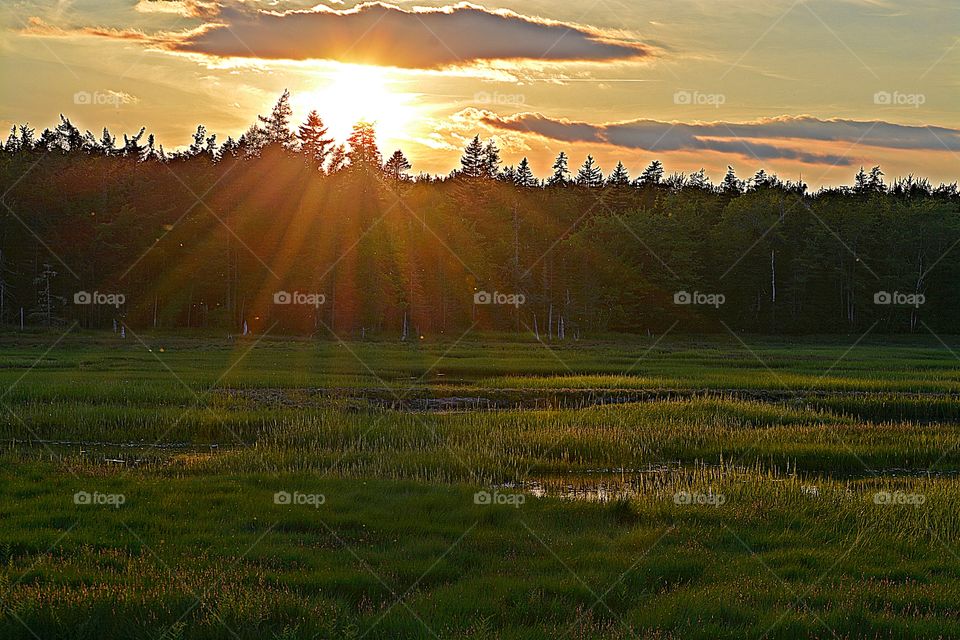Sunrise and sunsets of USA - Sprawling sun rays extend from the sky and reflect on the pond and field below 