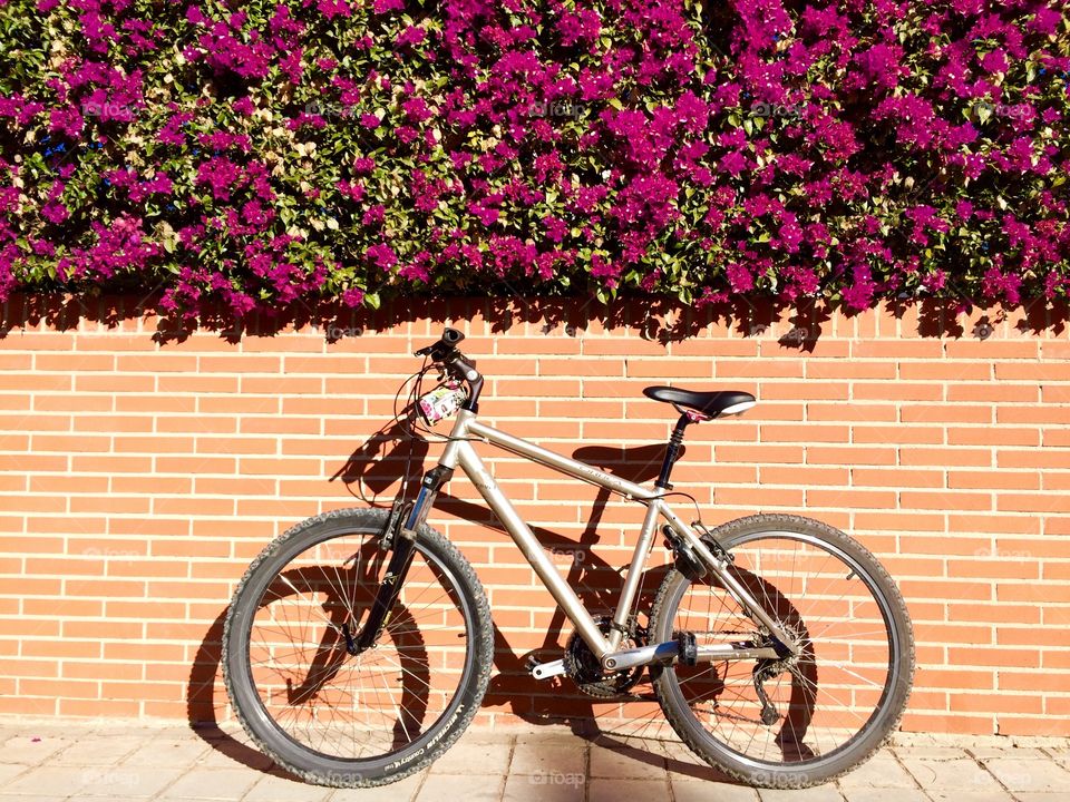 My bike in Spain. Getting ready for a bike ride around Alicante, Spain