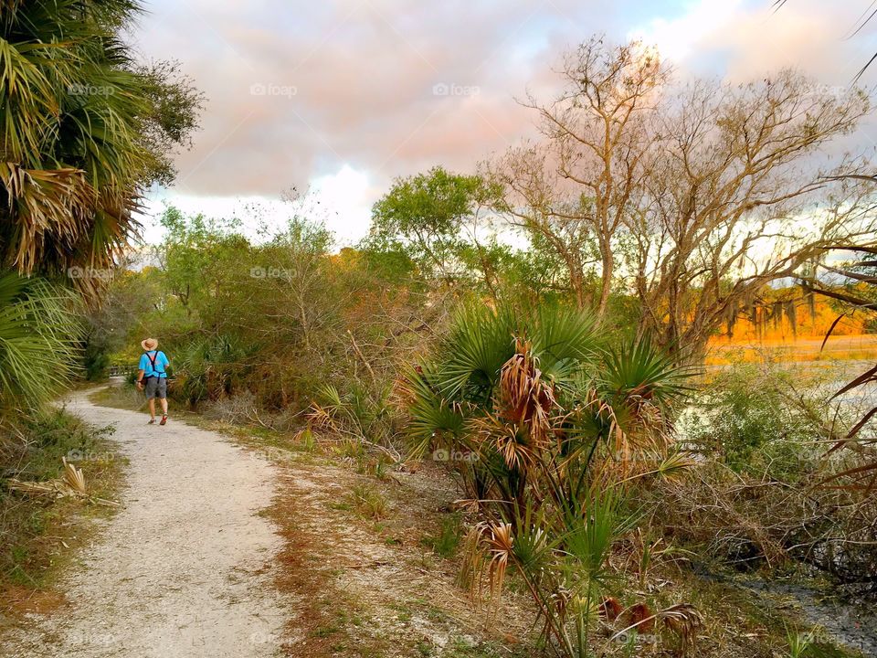 Hiker on the trail.