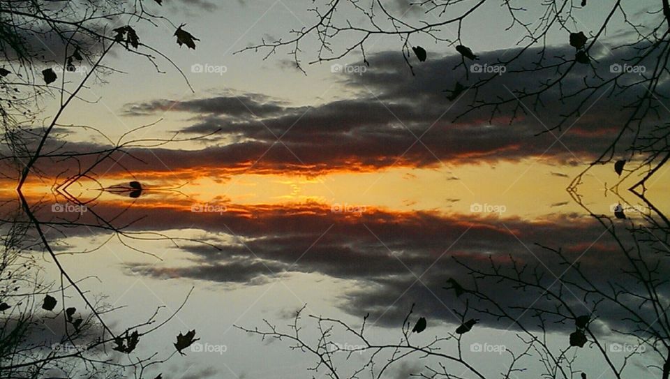 mirror reflection. nature