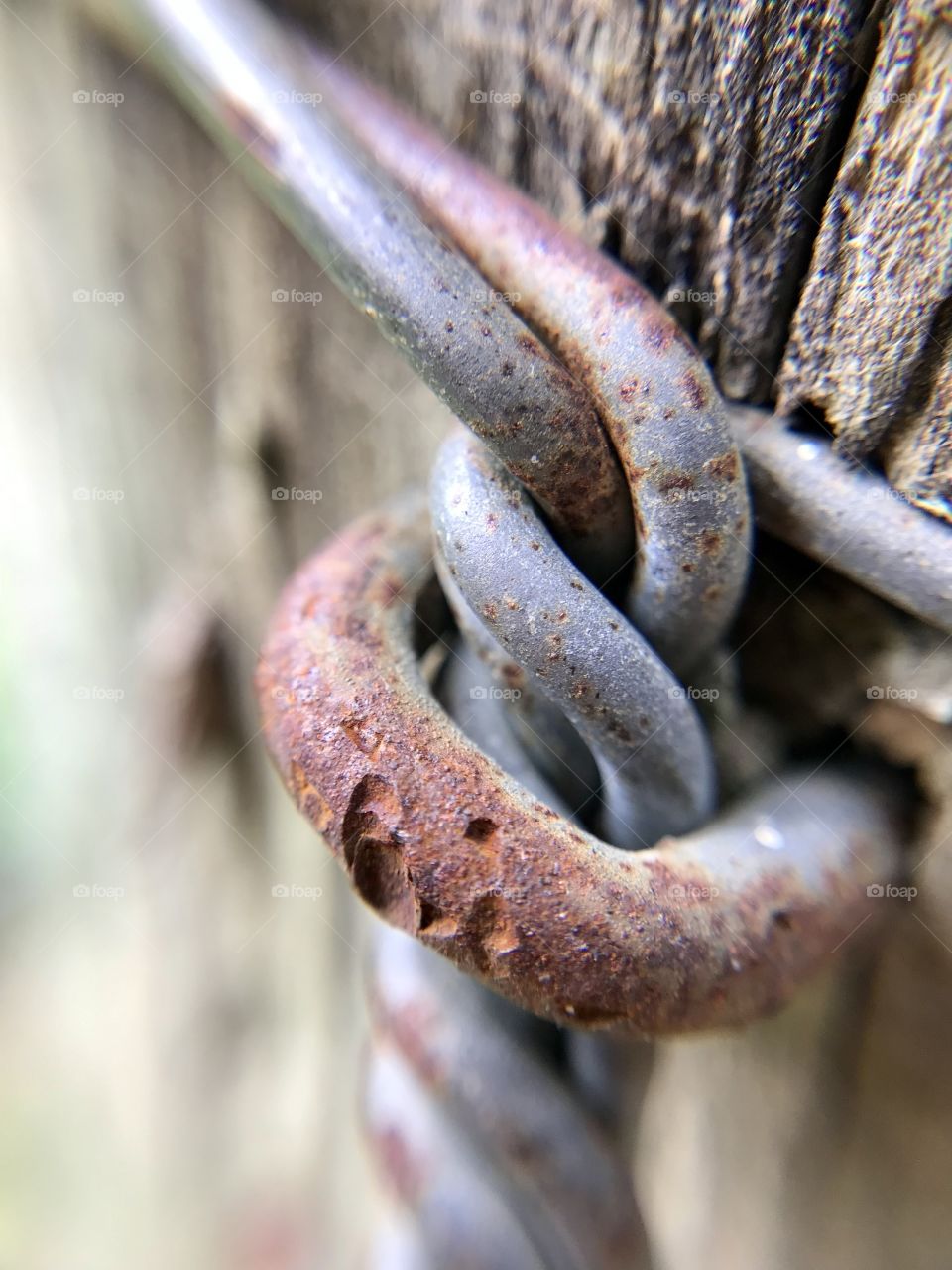 Rusty Wire