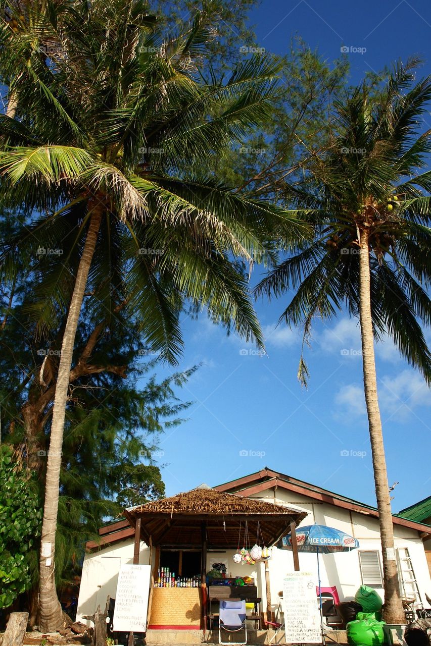 Koh tao beach bar