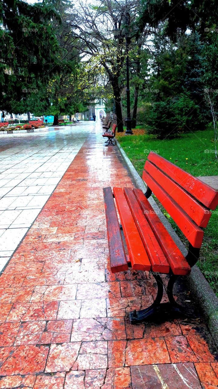 wet bench in the park