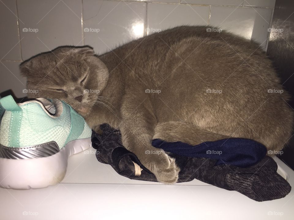 Very comfortable place to sleep. 