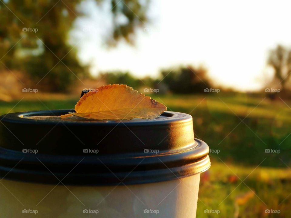 Autumn coffee time in the nature